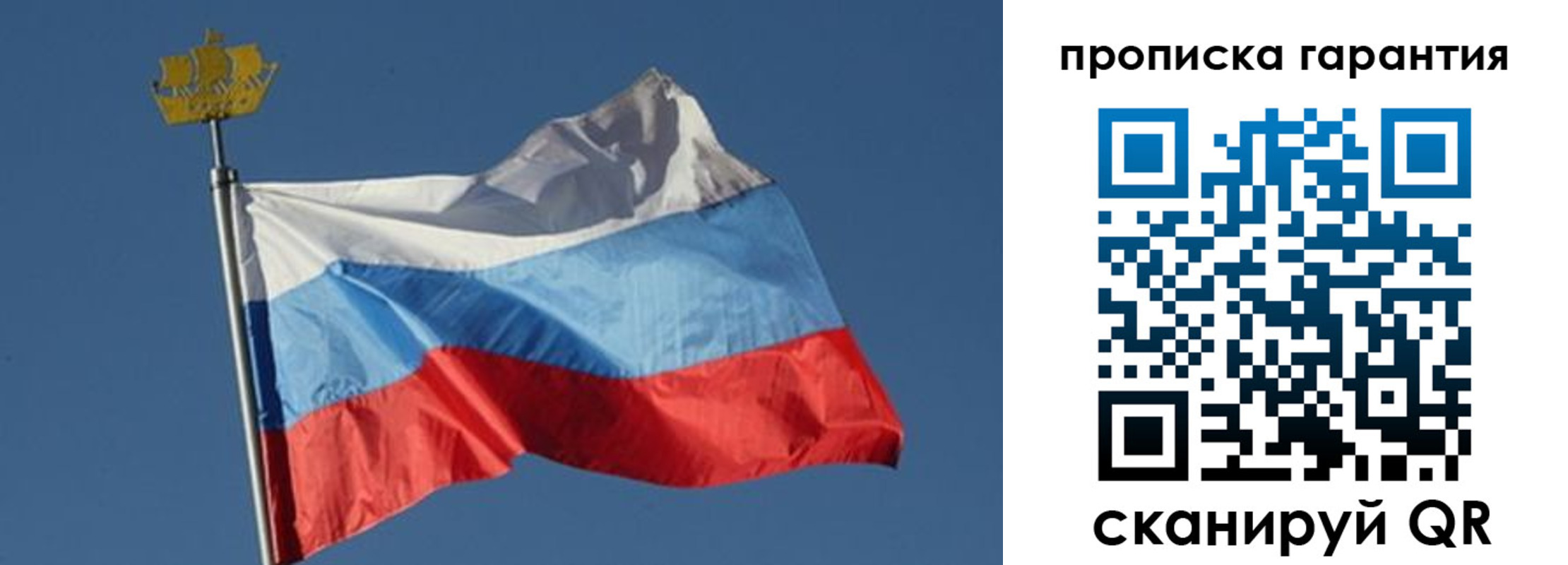 прописка для работы в Луге